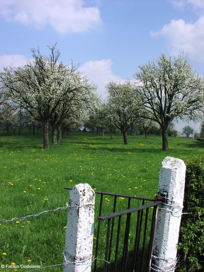 O Macra B&B - Aubel, Pays De Herve Kültér fotó